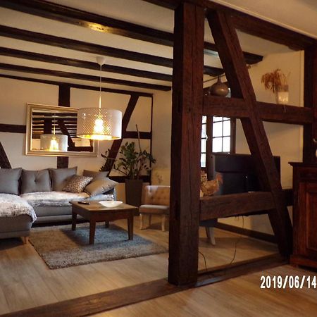 Duplex Saint Lustre, View Over Castle And Storks, 5 Mn From Colmar Eguisheim Exterior foto