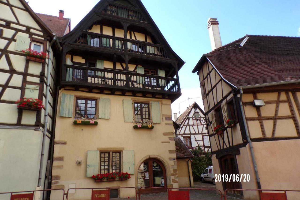 Duplex Saint Lustre, View Over Castle And Storks, 5 Mn From Colmar Eguisheim Exterior foto