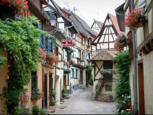 Duplex Saint Lustre, View Over Castle And Storks, 5 Mn From Colmar Eguisheim Exterior foto