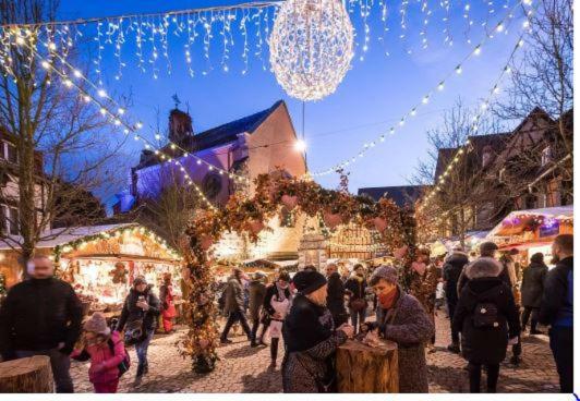 Duplex Saint Lustre, View Over Castle And Storks, 5 Mn From Colmar Eguisheim Exterior foto