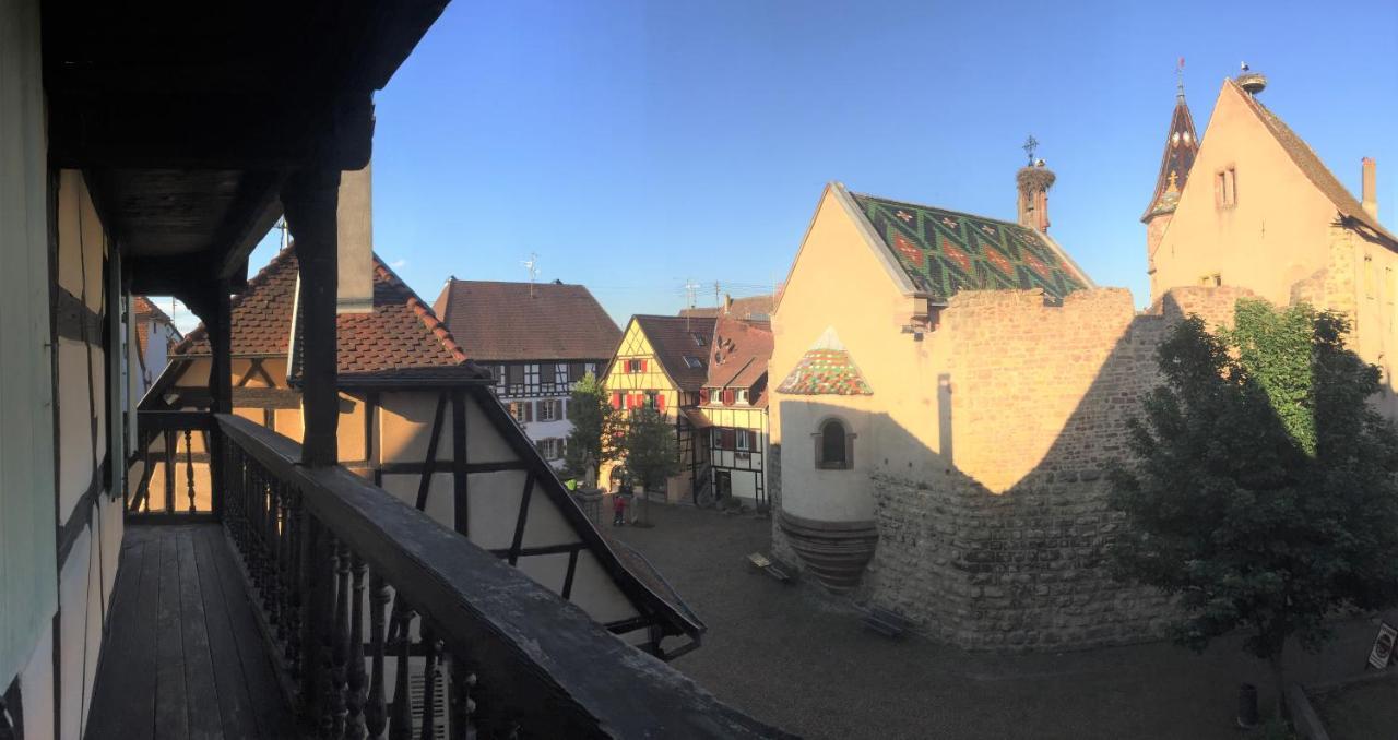 Duplex Saint Lustre, View Over Castle And Storks, 5 Mn From Colmar Eguisheim Exterior foto